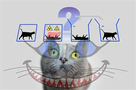 ラテラルムーブメント: なぜ猫は量子力学を理解できるのか？